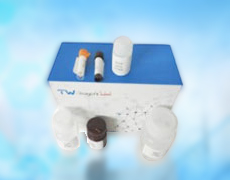 檢測試劑盒 酶活性試劑盒